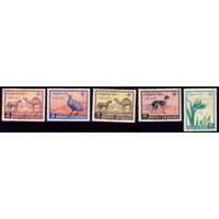 5 марок 1961 год Афганистан Фауна 520-524