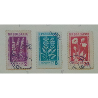 Цветы. Болгария. Дата выпуска:1953-12-02