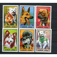 Аджман - 1971 - Собаки - [Mi. 1203-1208] - полная серия - 6 марок. MNH.  (Лот 82Dt)