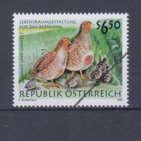 [2321] Австрия 1999. Фауна.Птицы. Одиночный выпуск.Образец MNH