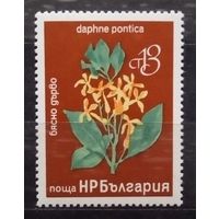 Растения, Болгария, 1976 год, 1 марка