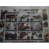 Марки - фауна, Сомали, блок, дикие кошки, медведи, лисы, волки