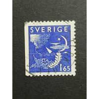 Швеция 1981. Ночь и день