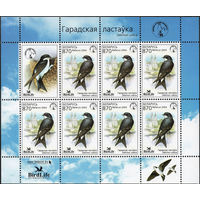 Птица года Городская ласточка Беларусь 2004 год (565) серия из 1 марки в малом листе