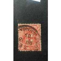 Ямайка 1903