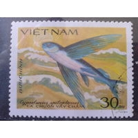 Вьетнам 1984 Летучая рыба