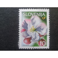 Словения 2000 цветок яблони, стандарт