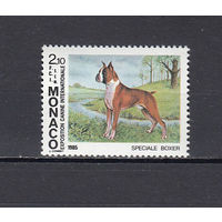Фауна. Собака. Монако. 1985. 1 марка. Michel N 1680 (3,0 е).