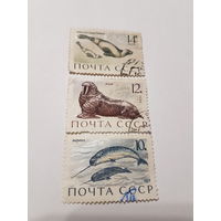Марки СССР 1971 г. Морж, Тюлень-Крылатка, Нарвал лот из 3-х марок.