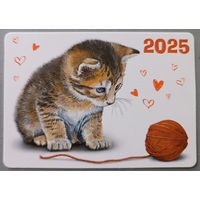 Игривый котенок. Календарик, глянец, 2025. Беларусь