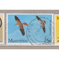 Птицы фауна Маврикийская пустельга  Маврикий 1984 год  лот 16