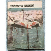 Журнал Юный натуралист номер 3 1977