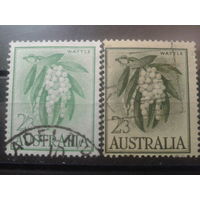 Австралия 1959-1964 Цветы акации, марки 1959 и 1964 годов