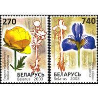 Редкие виды цветов Беларусь 2003 год (513-514) серия из 2-х марок