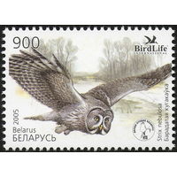 Птица года. Бородатая неясыть Беларусь 2005 год (606) серия из 1 марки