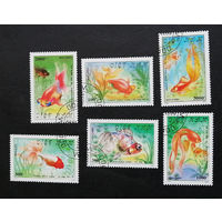 Вьетнам 1990 г. Золотые рыбки. Фауна, полная серия из 6 марок #0185-Ф1P43
