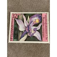 Болгария 1986. Цветы. Limodorum abortivum. Марка из серии
