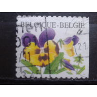 Бельгия 2000 Стандарт, анютины глазки, марка из буклета, обрез справа