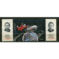 Беляев и Леонов в космосе. 1965. Блок. Чистый