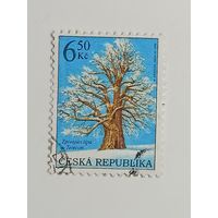 Чехия 2004. Охрана природы - охраняемые деревья