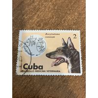 Куба 1975. Кубинская ветеринария. Полная серия