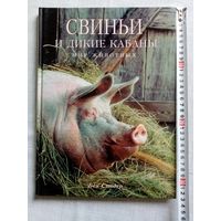 Свиньи и дикие кабаны. Мир животных. Бен Сондер, Большой формат