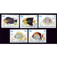 5 марок 1985 год Куба Рыбы 2965-2969