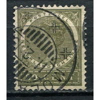 Нидерландская Индия - 1902/1906 - Королева Вильгельмина 20С - [Mi.49] - 1 марка. Гашеная.  (Лот 71EW)-T25P3
