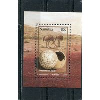 Намибия. Фауна. Блок
