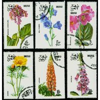 Цветы Дофар 1977 год серия из 6 марок