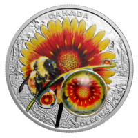 Канада 20 долларов 2017г. 3D капля "Красота под солнцем". Монета в капсуле; подарочном футляре; номерной сертификат; коробка. СЕРЕБРО 31,39гр.(1 oz).