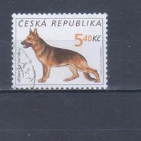 [383] Чехия 2001. Фауна.Собака.Овчарка. Гашеная марка.