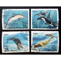 СССР 1990 г. Морские млекопитающие. Фауна, полная серия из 4 марок #0030-Ф2P5