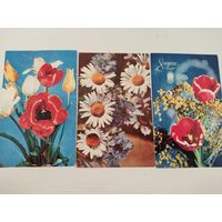 3 открытки с цветами, фото Е.Шворака 1969-70гг.