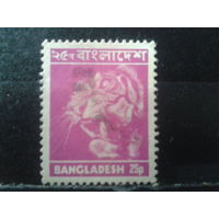Бангладеш 1976 Стандарт, тигр Малый формат
