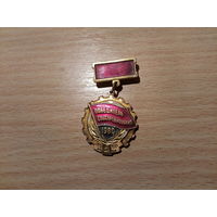 Победитель Соцсоревнования 1980
