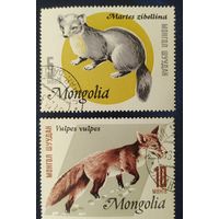 Монголия 1966 звери 2 из 8.