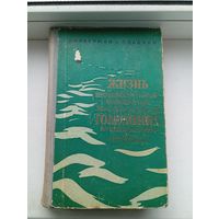 Жизнь и необыкновенные приключения капитан-лейтенанта Головина путешественника и мореходца 1957 год