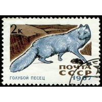 Пушные звери Фауна СССР 1967 год 1 марка