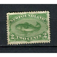 Британские колонии - Ньюфаундленд - 1880/1896 - Рыбка 2С - [Mi.32b] - 1 марка. Чистая без клея.  (LOT DR13)