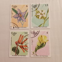 Куба 1980. Флора. Цветы