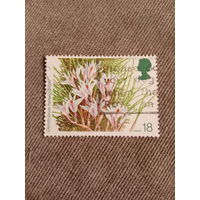 Великобритания 1993. Dendrobium hellwigianum