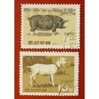 КНДР. Домашние животные ( 2 марки ) 1967 года.