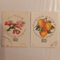 Венгрия 1964. Плодовые деревья, плоды и цветки