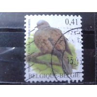 Бельгия 2002 Стандарт, птица 0,41