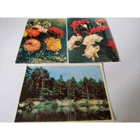 3 открытки фотохудожников Ананьиных 1965г.