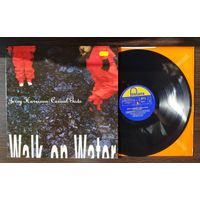 JERRY HARRISON CASUAL GODS (ex-TALKING HEADS) - WALK ON WATER (UK винил LP 1990)