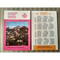 Карманный календарик. Охраняемые растения Узбекистана. 1989 год