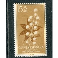 Испанская Гвинея. Флора. Цветы