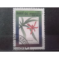 Бразилия 1994 Флора, концевая Михель-1,0 евро гаш